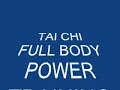 TAI CHI STRIKING POWER TRAINING