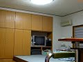ハニービー動画