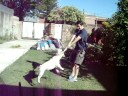 videos de bulldog caty fight