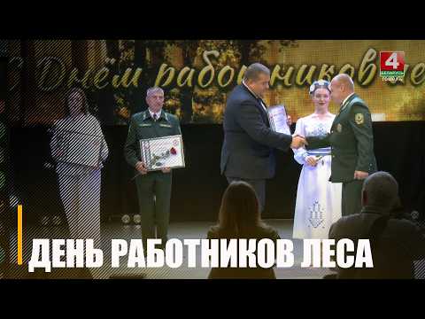Лучших работников лесного хозяйства чествовали на Гомельщине в преддверии профессионального праздника видео