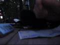alcool Vs confusion (polly tek)