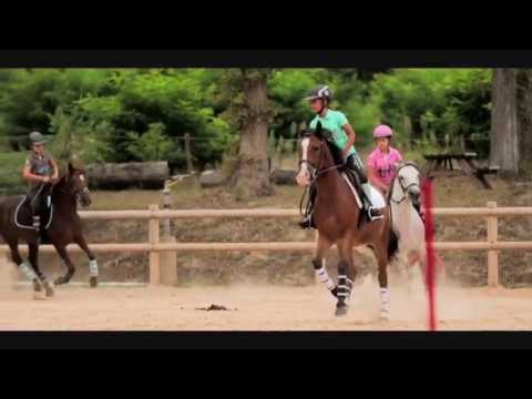Video Video