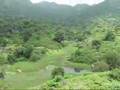 Mount Abu Area View Video