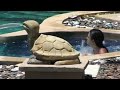 Pavilion Resort on Samui island Thailand - samuitv.com