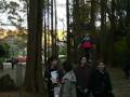 Big Walking in Ikuta Ryokuchi Park