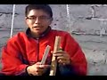 Película 0003 xvid
