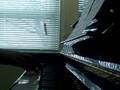 Shakira FT. Wyclef Jean - Hips Don't Lie (Piano Cover)
