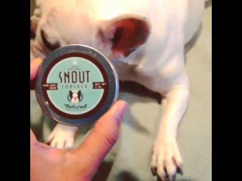 how to dissolve a jersey company