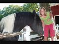Rooster~Pinto Friesian Dutch Warmblood Stallion at Stud Rooster~Pinto Friesian Dutch Warmblood Stallion at Stud