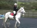 Horse Camp 2