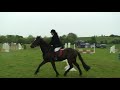 Friary RC - Unicorn Showjumping League 07- Dawn 2