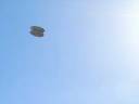 OVNI orgánico (CG ufo) OVNI orgánico (CG ufo)