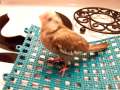 Our 1st and last Cockatiel handfeeding video being that we won't be rearing any more baby cockatiels! This is Ashlee, the newest addition to our aviary family. By the way, we use the short tipped syringe and go in on the right so that it doesn't go down her wind pipe. We recommend the short tip so that you don't jam a long flexible tip down the wrong side by accident. Also, by using the short tip, the baby gets to enjoy the taste of the baby food, rather than just squishing it down into the crop.For more info on our aviary visit:http://www.trueloveaviary.blogspot.com