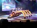 Digger Dance