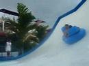 what-fish-is-this-in-singapore-water.html