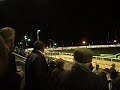Dog_Race