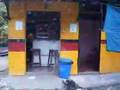 Mini-tour-of-Jamaica