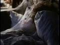 videos de Lullaby - The Cure