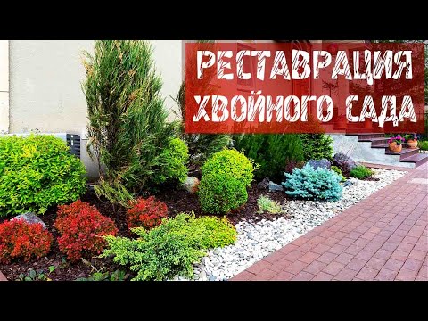 Бобер телеканал сад и огород Бобер телеканал сад и огород