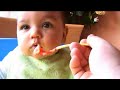 Michaels 1st year: The Foodie