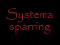 Systema Sparring