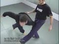 Systema Sparring