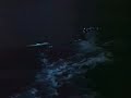Random Video 2 (Gilligan\