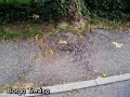 Tutte le bellezze di Castelfranco a 2 passi dal centro storico.