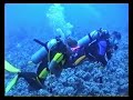 sharm-el-sheikh-immersione-a-ras-mohamed-e-ras-katy.html