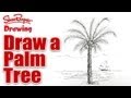 Draw A Palm Tree