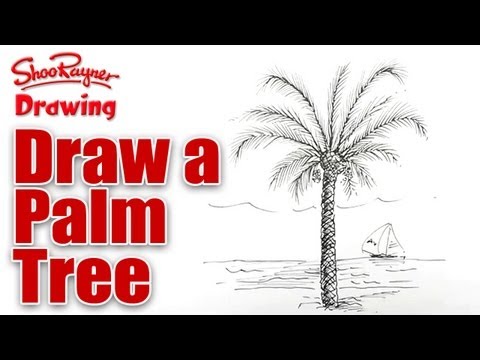 how to draw palm trees