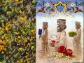 NoRuzetan Peeroz: For the ancient Iranians, Noruz was a celebration of life. They felt forces of nature, that were completely beyond their control, had a dominant effect on their lives. They formed a union with these forces to protect themselves. Through this union they created a balance and maintained cosmic order, or Asha. Without it there would be chaos, dominated by the Hostile Spirit (Ahriman). Zoroastrians were and are required to have the same mind, the same voice and act the same way as their god Ahura Mazda. They are expected to only think of good things, speak the good words and act the good deeds. This way they managed to keep their balance. Noruz was an occasion when life with all its glory was celebrated and cherished. For modern Iranians, Noruz is a feast of renewal and freshness; a time to visit relatives, friends and pay respect to the older members of the family. A thorough house cleaning purifies the physical space, merrymaking creates comfort, and happiness becomes a celebration in itself. This is reminiscent of ancient traditions when all forces of Joy were regarded as holy. New Year festivities will go on uintil the 13th day, known as Sizdah beh dar, which literally means getting rid of the omen of the 13th day. The 13th day is spent mostly outdoors. People will leave their homes to go to the parks or local plains for a festive picnic. It is a must to spend Sizdah beh dar in nature. This was not celebrated in this manner before Islam and might be <b>...</b>