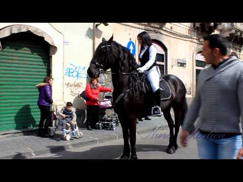 Sfilata di Cavalli a Paternò 30 Marzo 2014