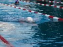 DHS First Swim Meet 2008