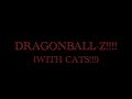 DRAGONBALL Z!!! (with cats) DRAGONBALL Z!!! (with cats)