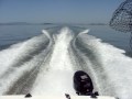 videos de MOV00481