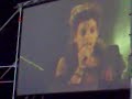 LaXula Foxes at Dranouter festival