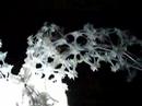 robot flower