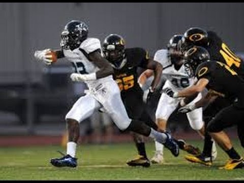 LSU Offers 2016 TCU Commit Sewo Olonilua