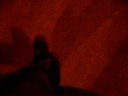CAMINAR