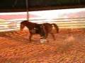 galopp in der hand :O) :O)