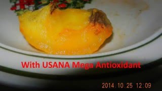 Apple Test  Centrum vs Usana