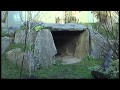 Pandas arrive in Edinburgh from China