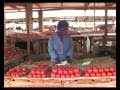 New Microloan Video April 09
