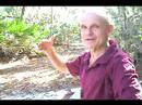 Epidemic CureMovie -- Segment 4 Salmonellosis