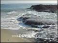 videos de Day Trade Stock 1