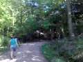 grasten forest 3