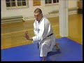 More bunkai with Ingo De Jong Hanshi (8.DAN)