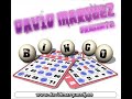 David Marquez - Bingo ( Original Mix )