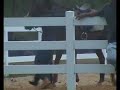 Nazreen Riding A Horse Perlis Nazreen Riding A Horse Perlis